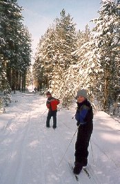 Metsä